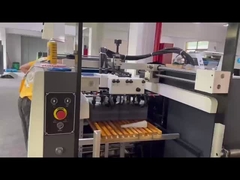 UV-lakmachine-FHSGJ-serie