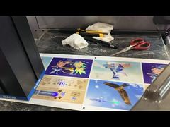 Roll To Roll Foil Stamping And Varnishing Machine Digitaal labelverbeteringsprinter