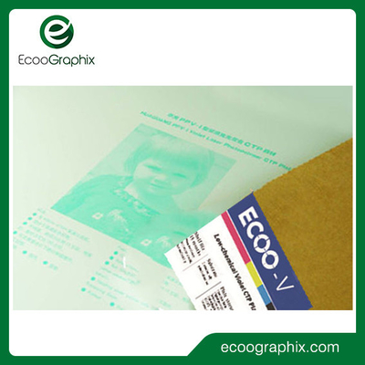 Digitale CompensatieDrukplaat Lage Chemische Violet Photopolymer