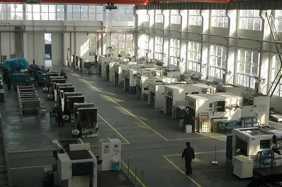 High Performance Ecoo-TDS800 Folie Stamping Die Cutting Machine