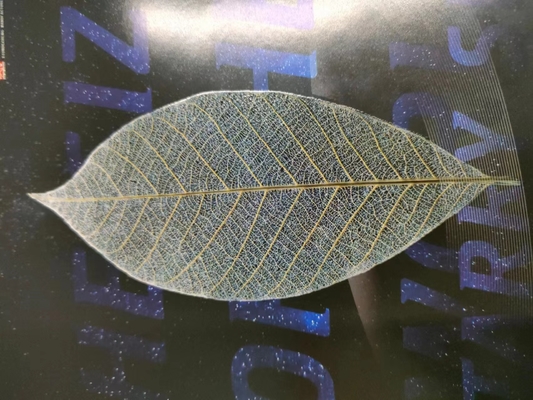590x760 Digitaal UV-spot lakcoater en folie machine