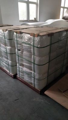 20L thermische CTP de Drukchemische producten van de Plaatontwikkelaar